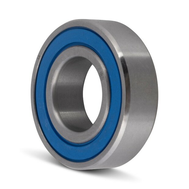 SS 6000 2RS - IBB rvs kogellager (10x26x8)