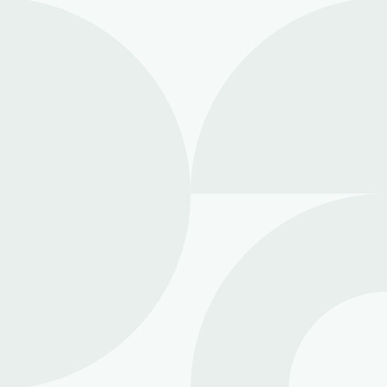Test product (ENKEL BESCHIKBAAR DMV DIRECTE URL)