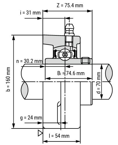 SS UCFL 214 - IBB rvs flenslagerblok 70 mm