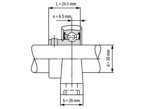 SS UP 006 - IBB rvs lagerblok 30 mm met excenterring