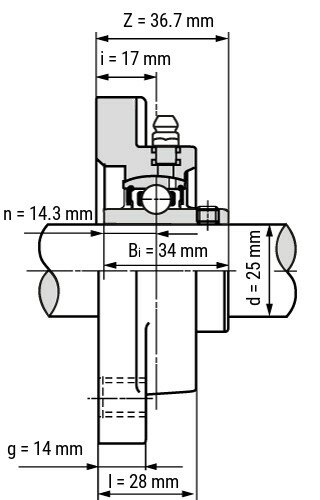 SS UCFPL 205 - IBB rvs wit kunststof lagerblok 25 mm