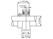 SS UP 006 - IBB rvs lagerblok 30 mm met excenterring