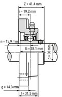 SS UCFPL 206 - IBB rvs wit kunststof lagerblok 30 mm