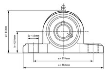 SS UCPPL 206 - IBB rvs wit kunststof lagerblok 30 mm
